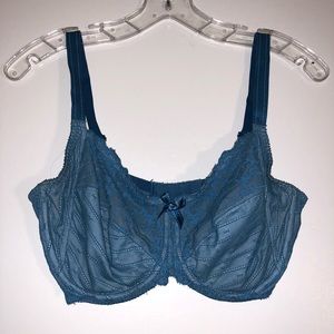 Blue Chantelle Full Coverage Bra 32F / 32DDDD